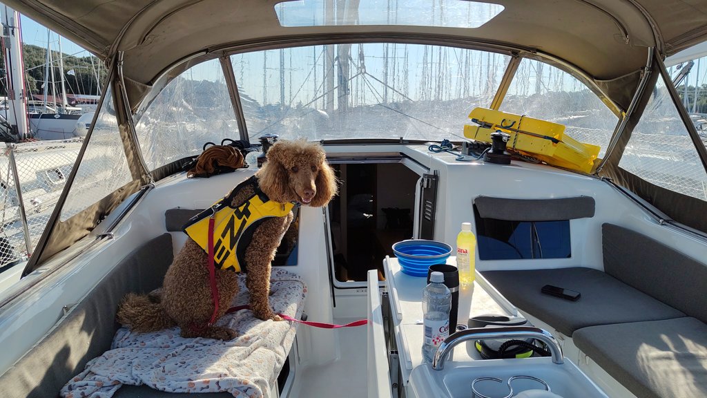 charly-boot.jpg
