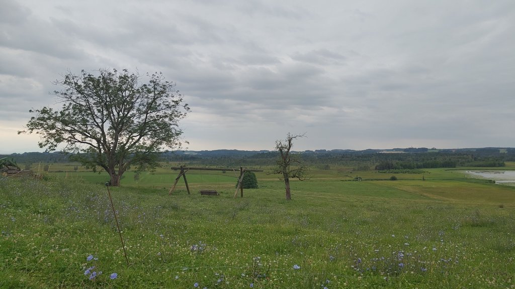 scenery.jpg